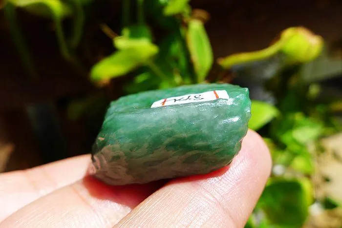 Natural Jade Rough Jadeite Raw (24g,3.8X3.8X1.2cm)