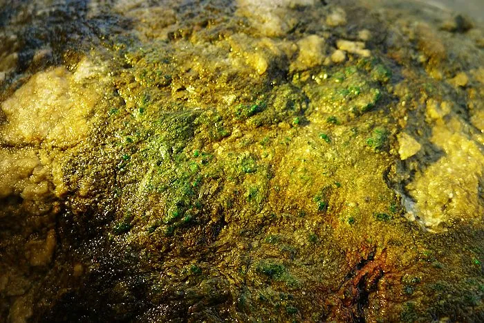 Natural Jade Rough Jadeite Raw (32kg,44X24X16cm)