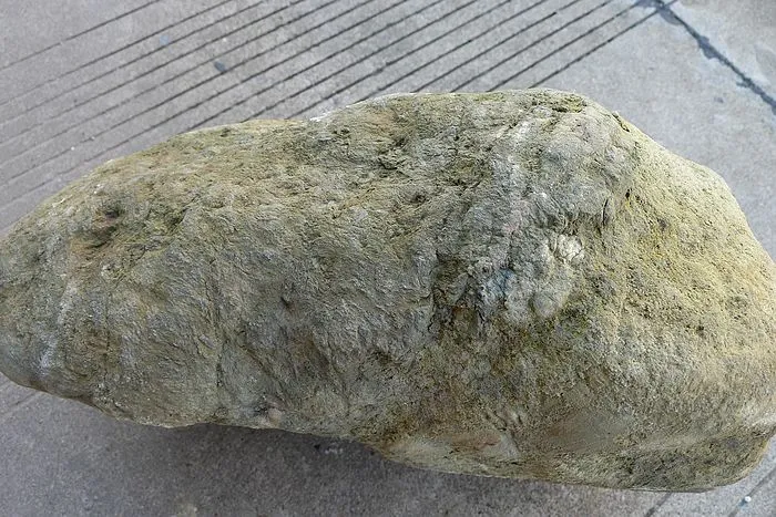 Natural Jade Rough Jadeite Raw (32kg,44X24X16cm)