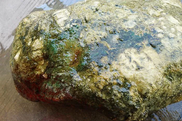 Natural Jade Rough Jadeite Raw (32kg,44X24X16cm)