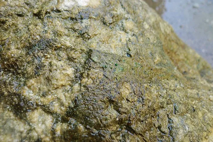 Natural Jade Rough Jadeite Raw (32kg,44X24X16cm)