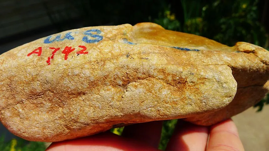 Natural Jade Rough Jadeite Raw (357g,12.8X4.7X3.6cm)