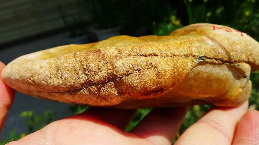 Natural Jade Rough Jadeite Raw (357g,12.8X4.7X3.6cm)