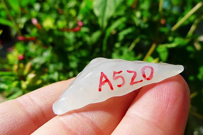Natural Jade Rough Jadeite Raw (6.4g,3.8X1.5X0.8cm)
