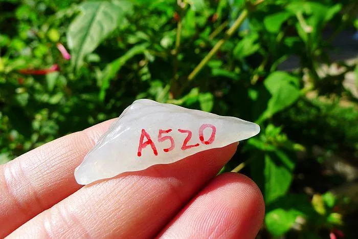Natural Jade Rough Jadeite Raw (6.4g,3.8X1.5X0.8cm)