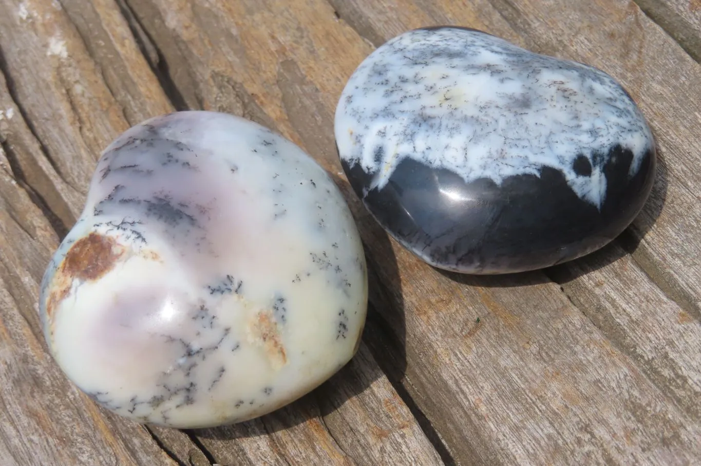 Polished Dendritic Opal Gemstone Hearts x 12 From Moralambo, Madagascar